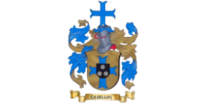 Traditional family coat of arms displaying a blue and gold crest