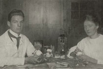 Two Dental Professionals Working At A Laboratory Bench